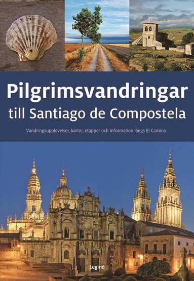 bokomslag Pilgrimsvandringar till Santiago de Compostela
