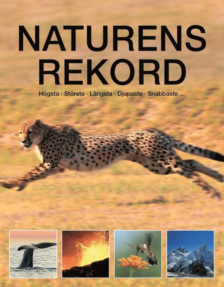 Thomas Horsmann - Naturens rekord, Inbunden