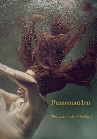 bokomslag Pantemanden