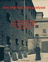 bokomslag Som mørket i morgenlyset