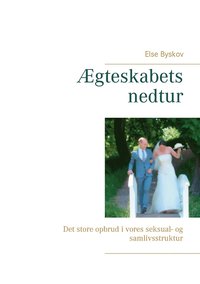 bokomslag Ægteskabets nedtur