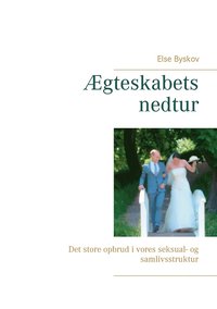 bokomslag gteskabets nedtur