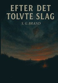 bokomslag Efter Det Tolvte Slag