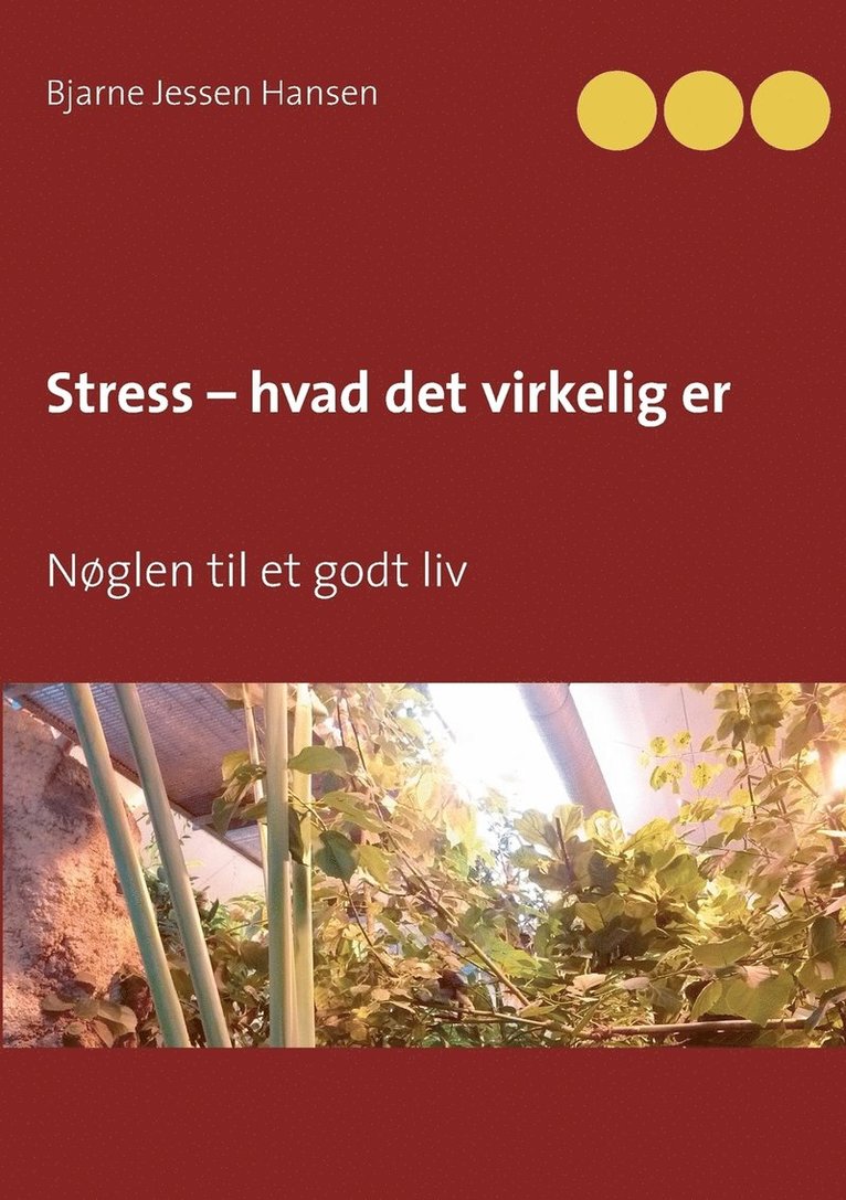 Bjarne Jessen Hansen - Stress - hvad det virkelig er, Häftad