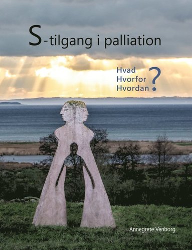 bokomslag S-tilgang i palliation