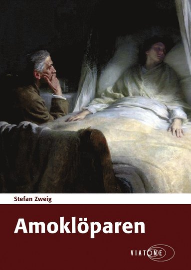 bokomslag Amoklöparen