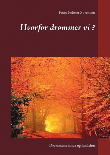 bokomslag Hvorfor drmmer vi ?