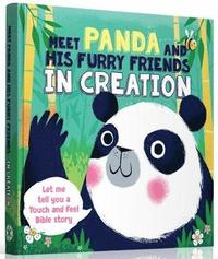 bokomslag Meet Panda and His Furry Friends in Creation