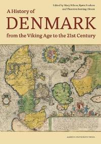 bokomslag Denmark. A History from the Viking Age to the 21st Century
