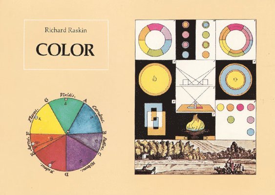Richard Raskin - Color: An Outline of Terms and Concepts, Häftad