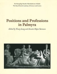 bokomslag Positions and Professions in Palmyra