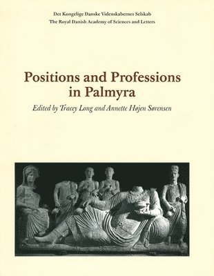 bokomslag Positions and Professions in Palmyra