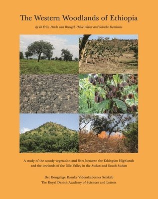 The Western Woodlands of Ethiopia: A Study of the Woody Vegetation and Flora Between the Ethiopian Highlands and the Lowlands of the Nile Valley in th 1