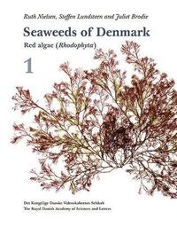 bokomslag Seaweeds of Denmark