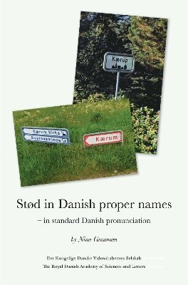 bokomslag Stød in Danish Proper Names