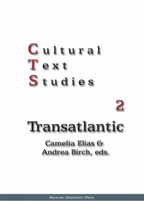 bokomslag Cultural Text Studies 2