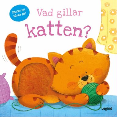 bokomslag Vad gillar katten (läs och känn)