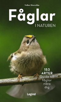 bokomslag Fåglar i naturen : 153 arter, guide till fåglar nära dig