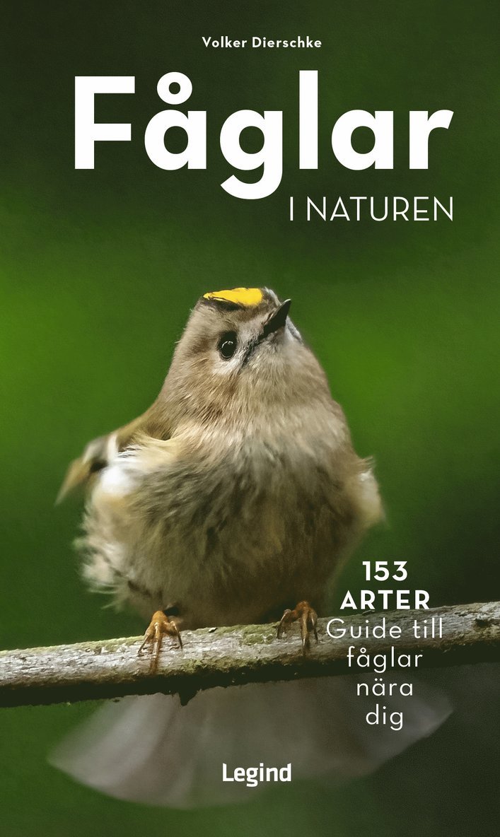 Fåglar i naturen : 153 arter, guide till fåglar nära dig 1