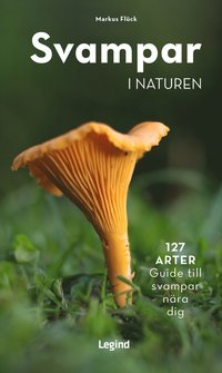 bokomslag Svampar i naturen : 127 arter, guide til svampar nära dig