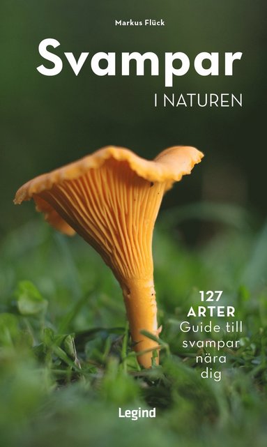 bokomslag Svampar i naturen : 127 arter - guide till svampar nära dig