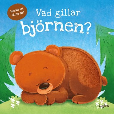 bokomslag Vad gillar björnen (läs och känn)