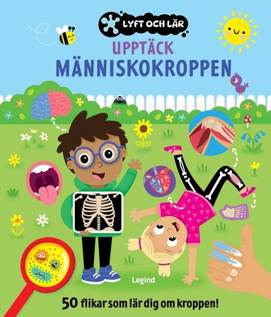 Upptäck människokroppen : 50 flikar som lär dig om kroppen, Kartonnage