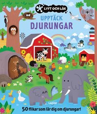 bokomslag Upptäck djurungarna : 50 flikar som lär dig om djurungar