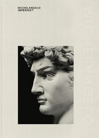 bokomslag Michelangelo Imperfect