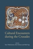 bokomslag Cultural Encounters During the Crusades: Proceedings of the First Medieval Conference at the Danish Institute in Damascus, 2009