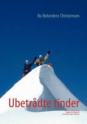 bokomslag Ubetrådte tinder