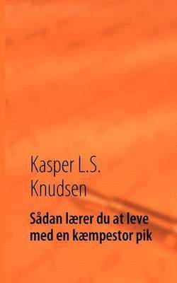 bokomslag Sådan lærer du at leve med en kæmpestor pik