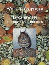 bokomslag Degubogen