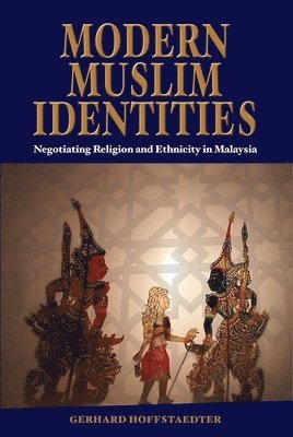 bokomslag Modern Muslim Identities