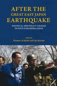 bokomslag After the Great East Japan Earthquake