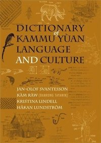 bokomslag Dictionary of Kammu Yan Language and Culture