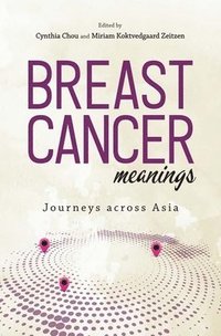 bokomslag Breast Cancer Meanings