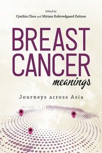 bokomslag Breast Cancer Meanings