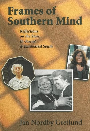 bokomslag Frames of Southern Mind