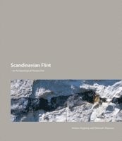 bokomslag Scandinavian Flint