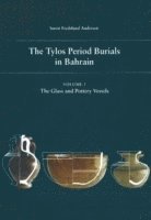 bokomslag Tylos Period Burials in Bahrain