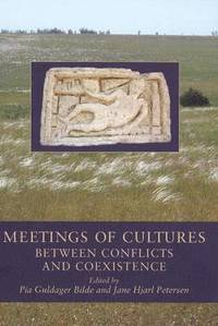 bokomslag Meetings of Cultures