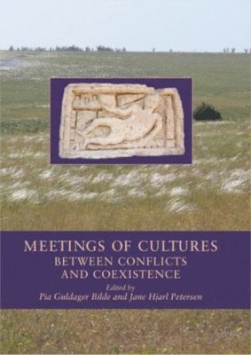 Pia Guldager Bilde, Jane Hjarl Petersen - Meetings of Cultures in the Black Sea Region, Inbunden