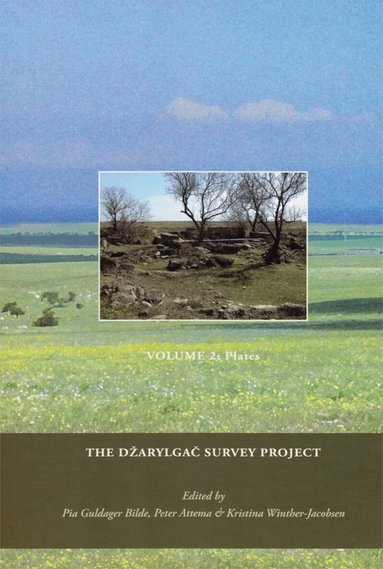 Peter Attema, Pia Guldager Bilde, Tymon de Haas, Wieke de Neef, Søren Handberg - Dzarylgac Survey Project, Inbunden
