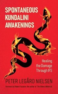 bokomslag Spontaneous Kundalini Awakenings: Healing the Damage Through IFS