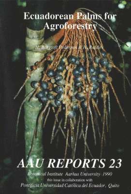 AaU reports Ecuadorean palms for agroforestry 1
