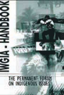 Lola Garcia-Alix - The Permanent Forum on Indigenous Issues, Häftad