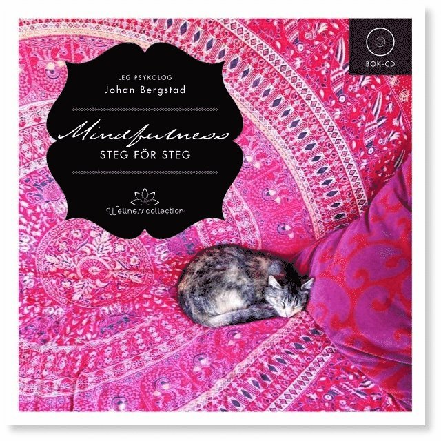 Mindfulness steg för steg