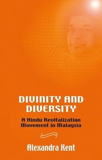 bokomslag Divinity and Diversity