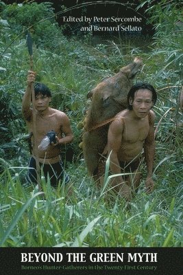 bokomslag Beyond the Green Myth